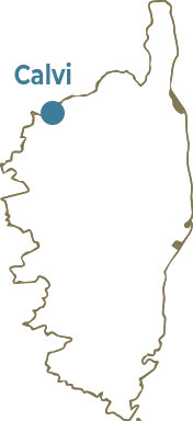 Résidence Le home à Calvi - Location villas + appartements