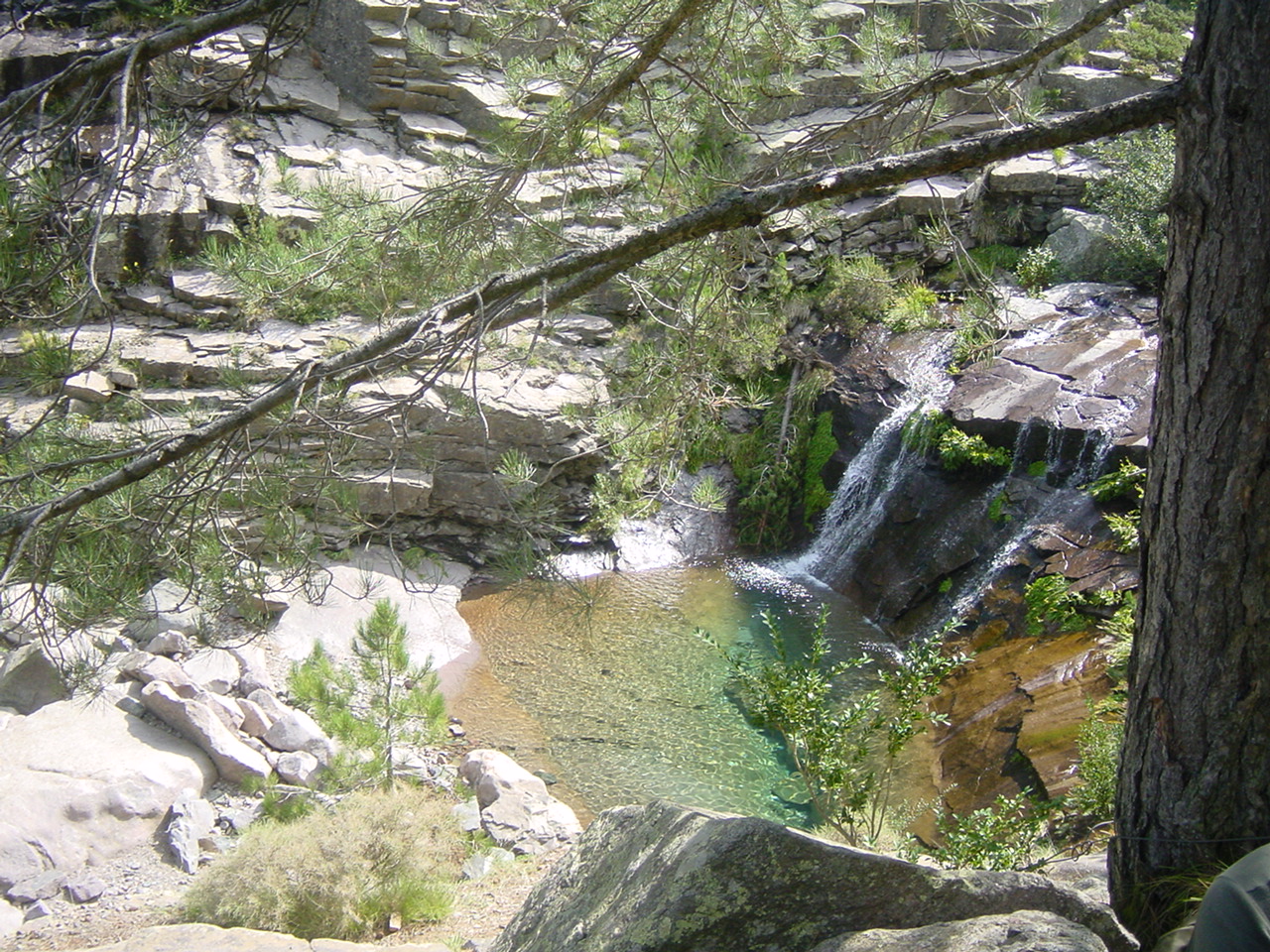 foret de bonifato baignade dans la rivière