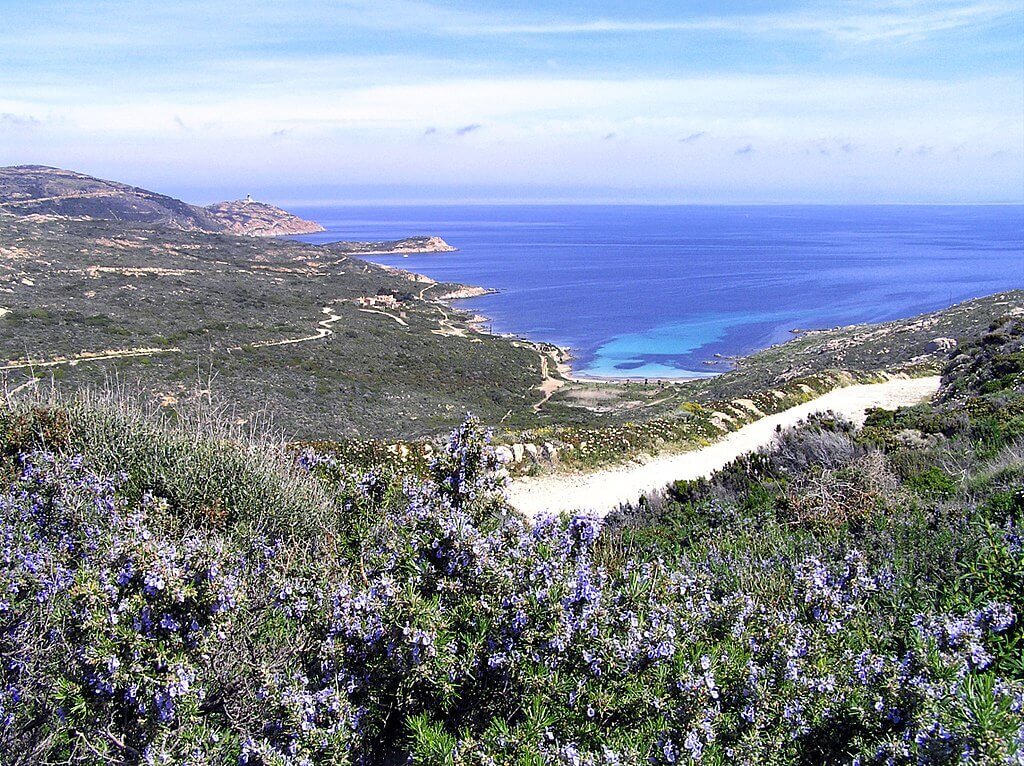 Revellata, plage de Alga