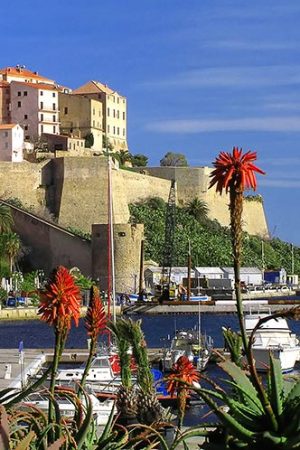 citadelle de calvi en corse